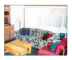 The family room is great for TV and kids. Here, you'll find a hide-away bed and the doorway leading to the deck with a large, bubbling HOT TUB...awaiting tired muscles!  