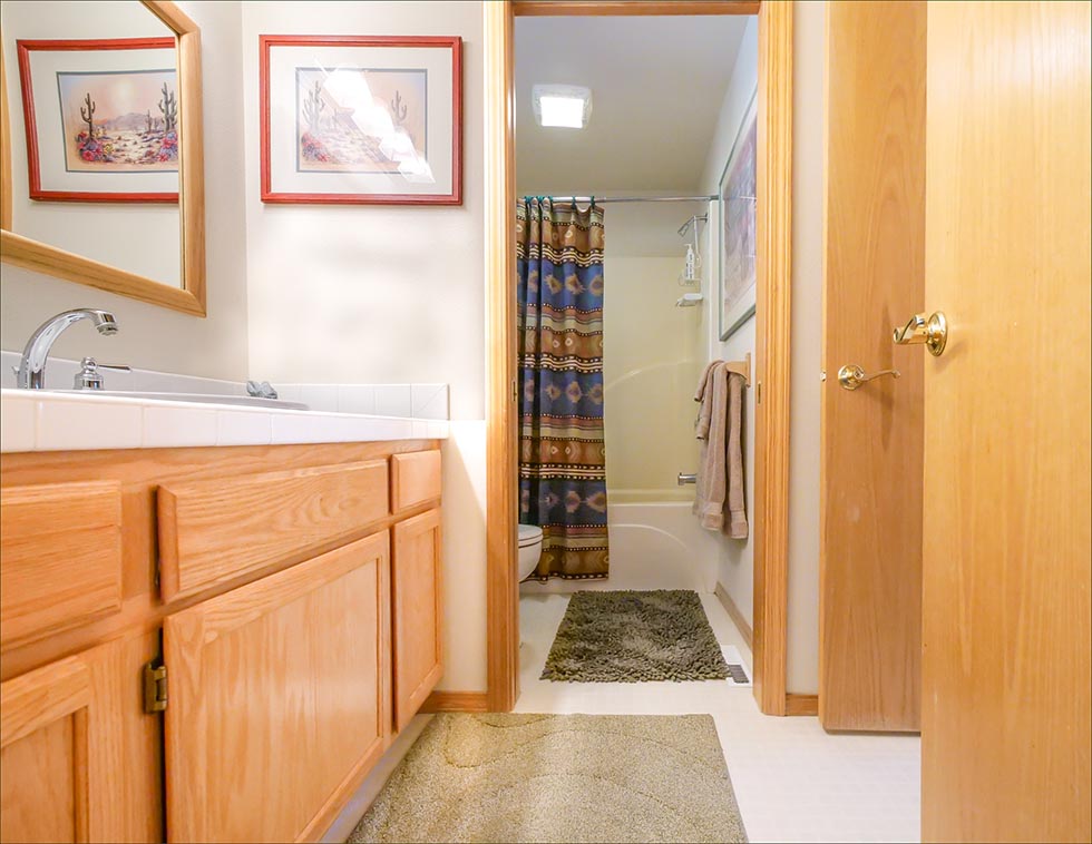 Lower level full bathroom with shower bath combo and access from both the bunk room and family room. 